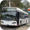 Panorama buses